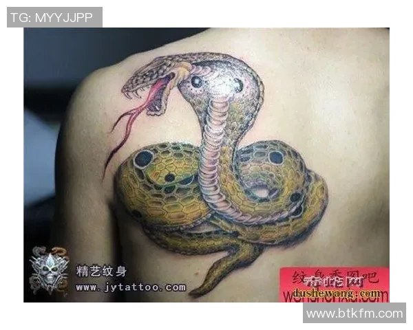 足球明星独特蛇纹身高清大赏展现个性与魅力